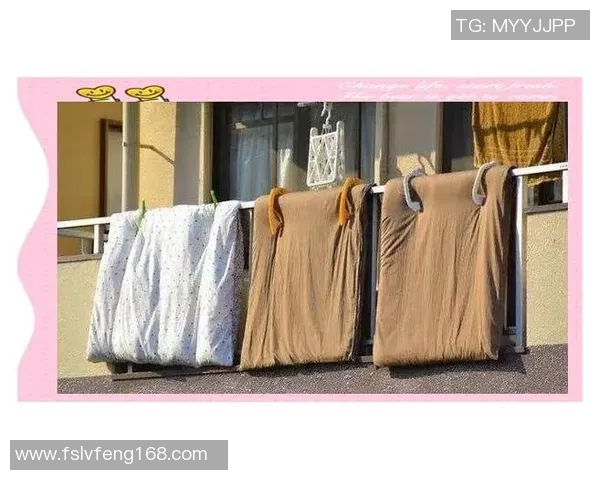 李芳独家分享篮球心得与技巧助你提升球技的全面指南