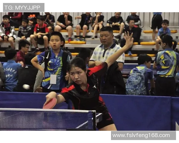 刘磊独家分享乒乓球技巧与心得助你提升球技的全面指南